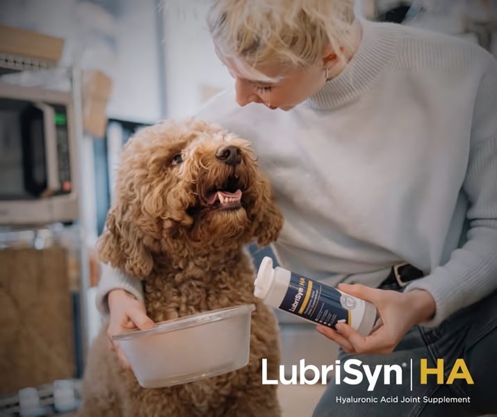 A close-up, warm-toned image featuring a pet owner affectionately interacting with their dog while holding a bottle of joint supplement.